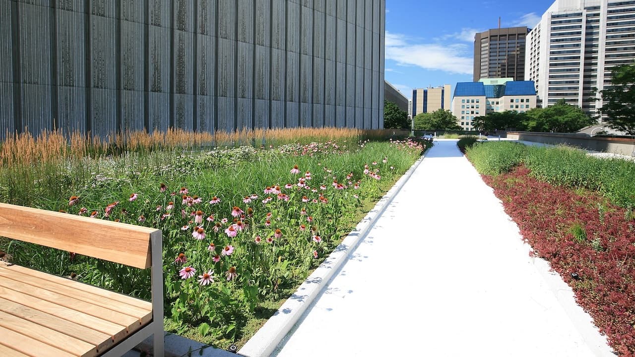 Province cancels Toronto’s pioneering green roof bylaw with no notice