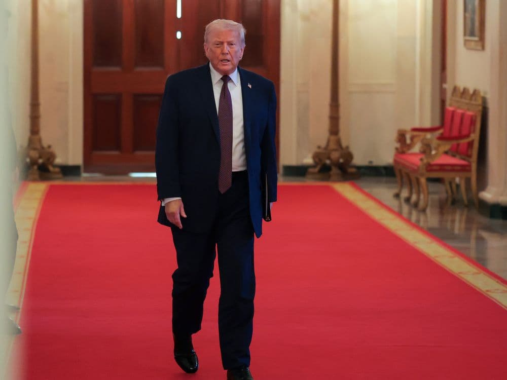 Trump, governors push emergency PJM auction to make tech fund new power plants