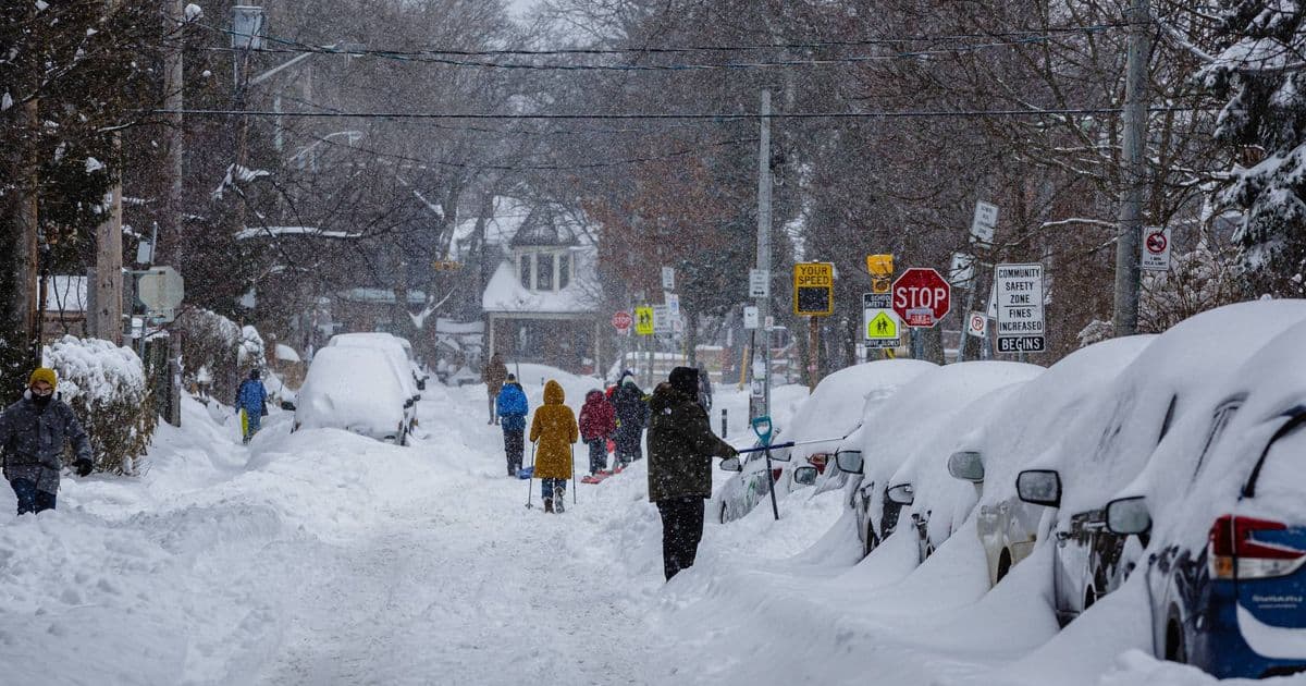 Toronto buried by 35 cm of snow as crashes and service disruptions mount