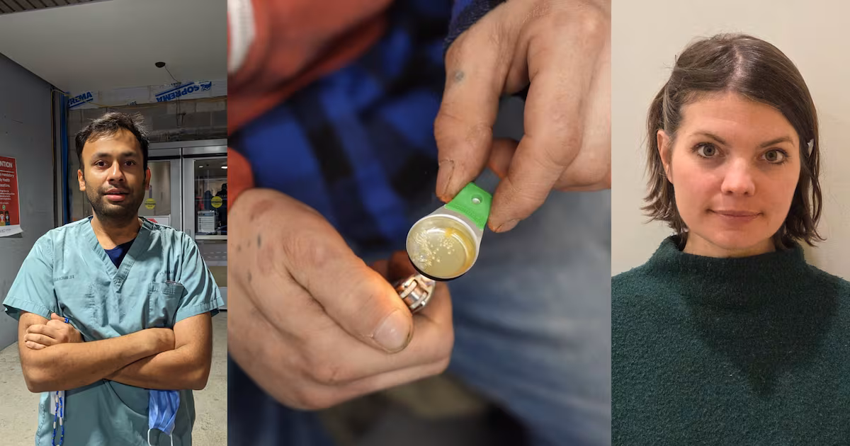 Animal tranquilizers are increasingly contaminating Toronto’s fentanyl supply