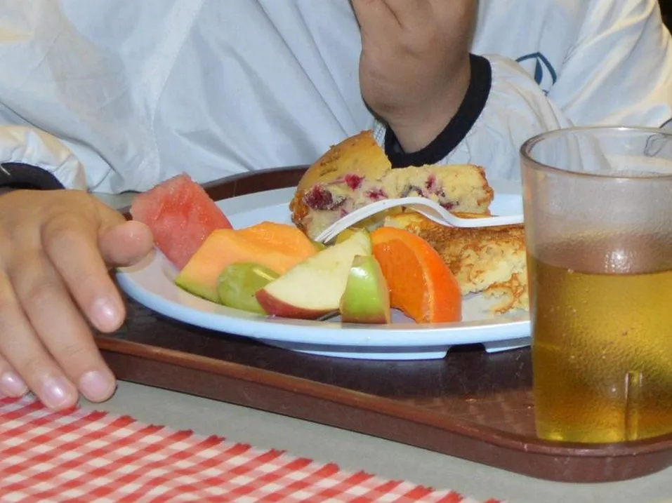 Feed children and teach them about food: how school meals can build food literacy