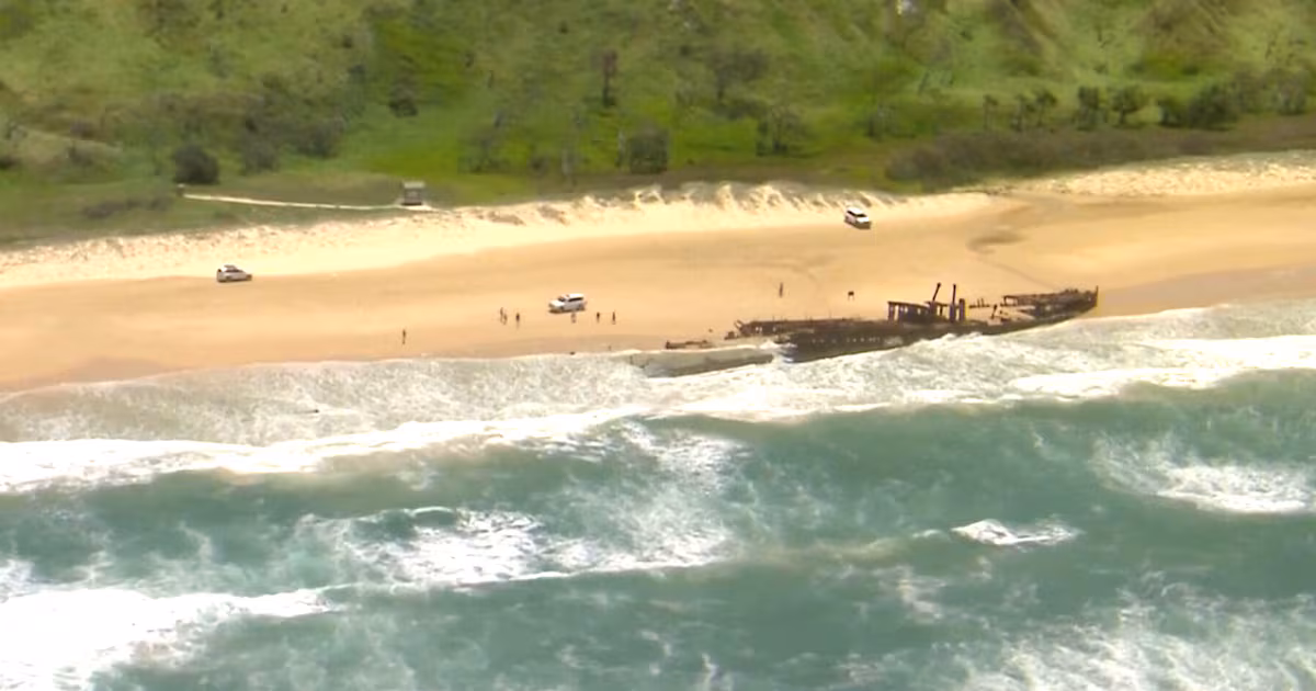 Canadian woman found dead on K'gari beach after dingoes disturbed body