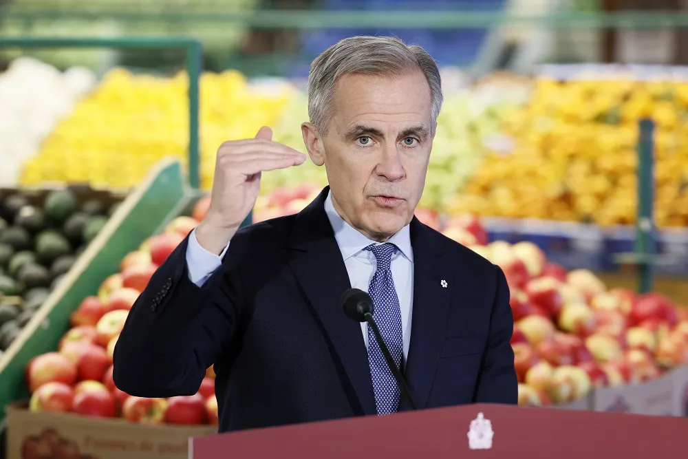 Who qualifies for Carney’s new groceries and essentials rebate