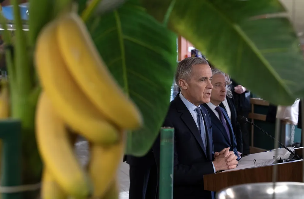 Canada’s new grocery benefit: what it means for your household budget