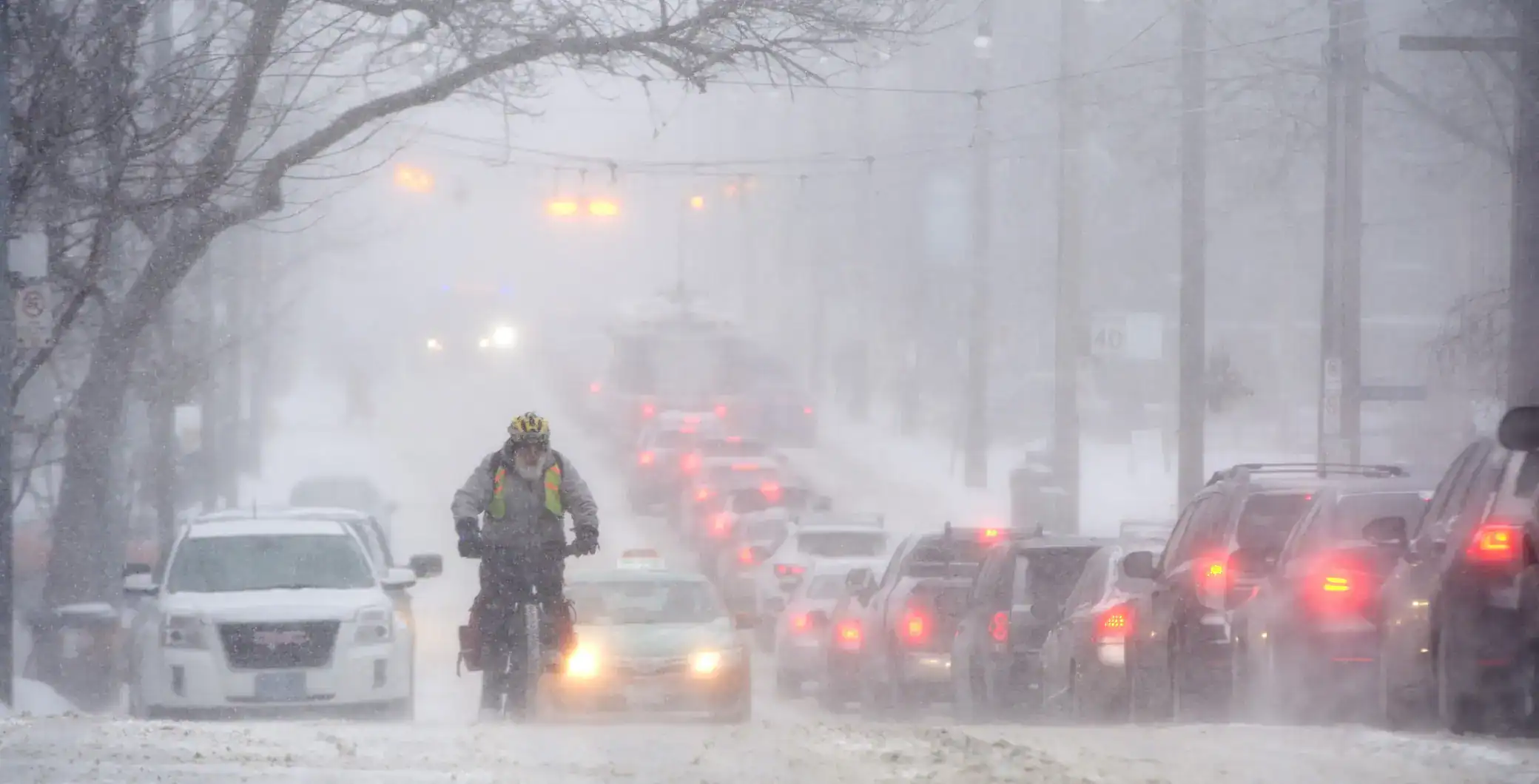 Toronto could see up to 30 cm of snow this weekend, prepare now