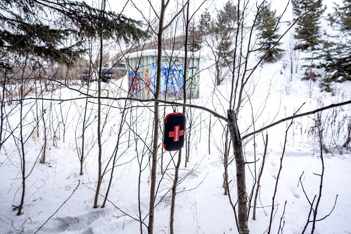 Opioid deaths in Canada have fallen. Five factors that may explain why