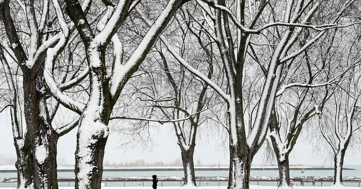 GTA hit by one of winter’s coldest spells, Toronto wind chill near -30°C