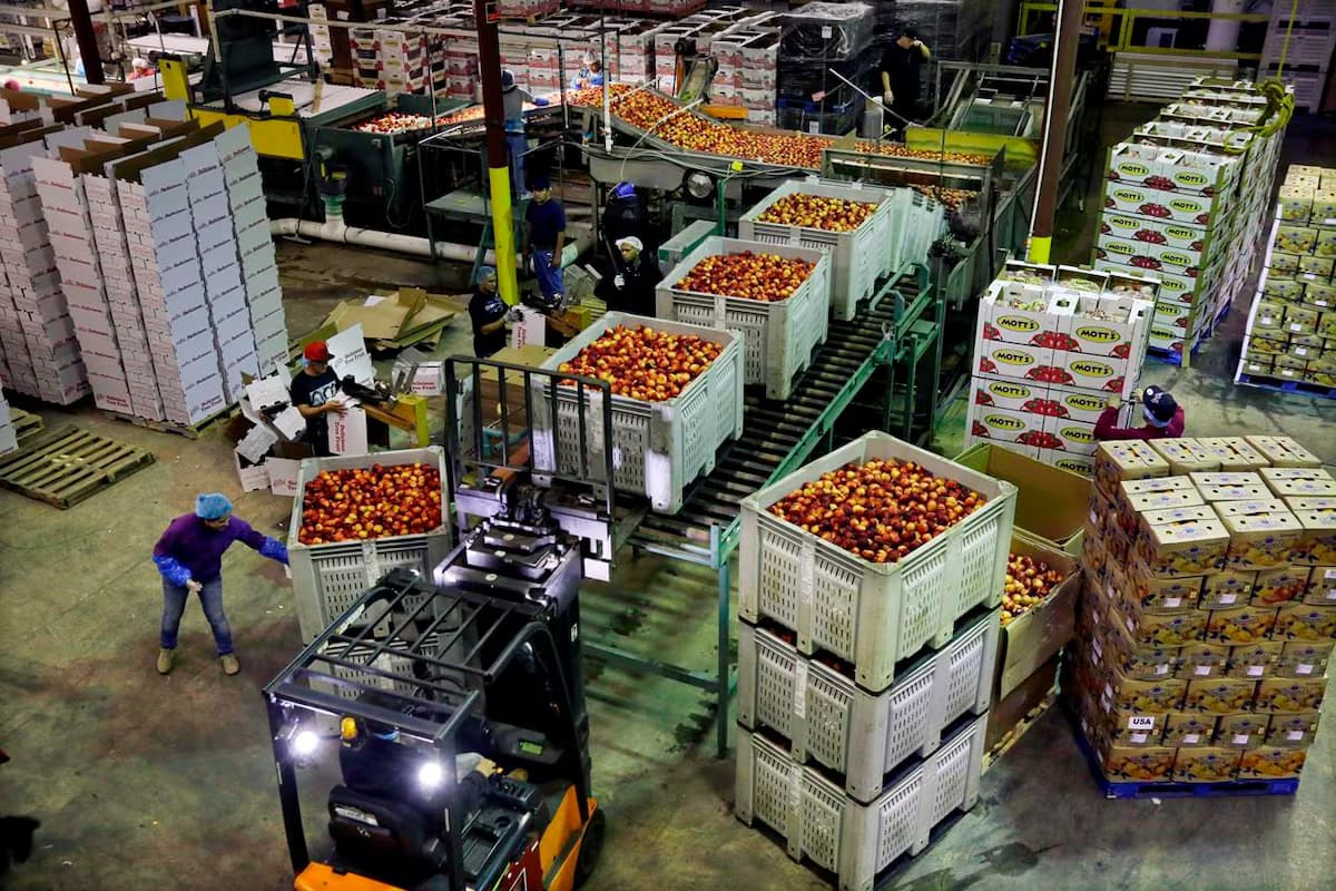 U.S. producer prices jump in December as services and tariffs push costs higher